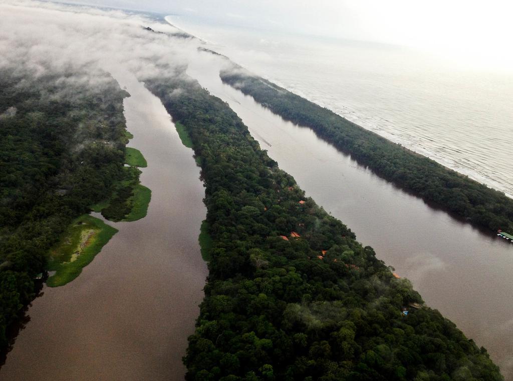Pachira Lodge Tortuguero Ngoại thất bức ảnh