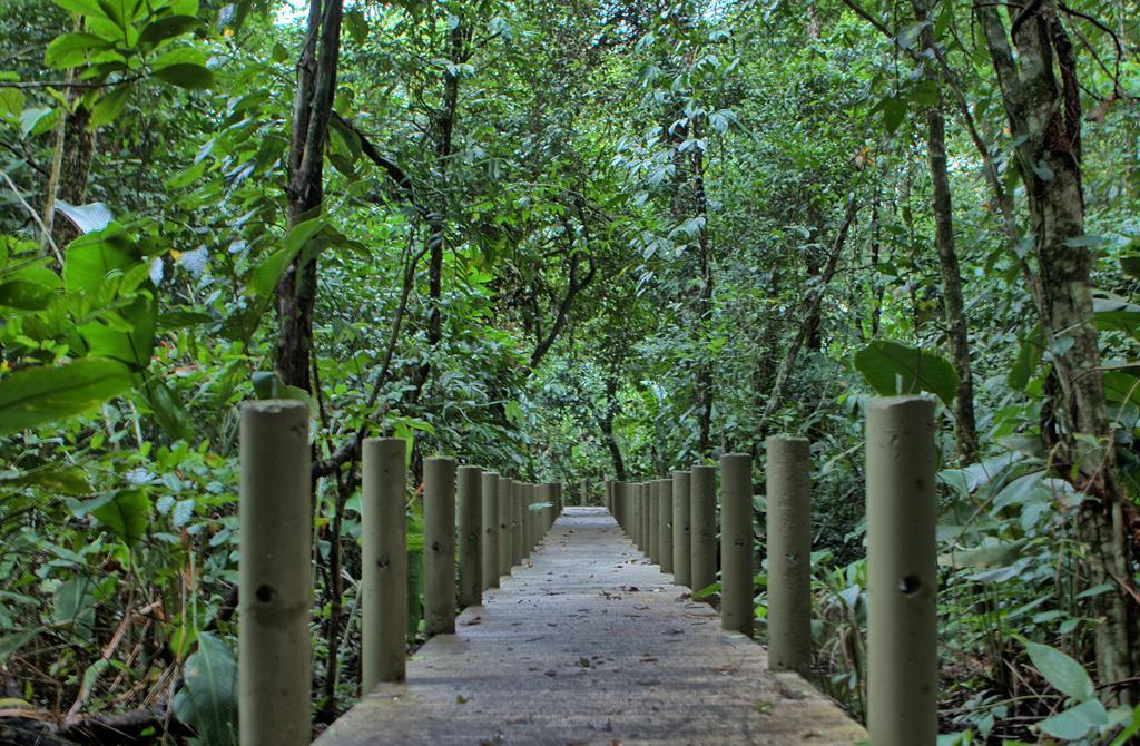 Pachira Lodge Tortuguero Ngoại thất bức ảnh