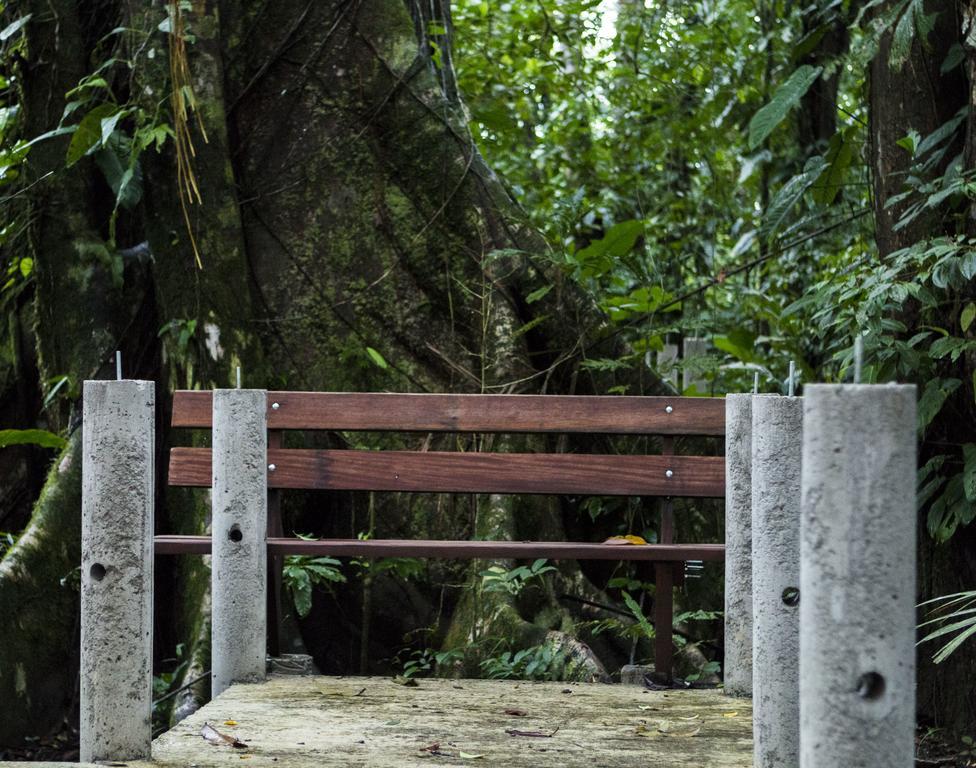 Pachira Lodge Tortuguero Ngoại thất bức ảnh