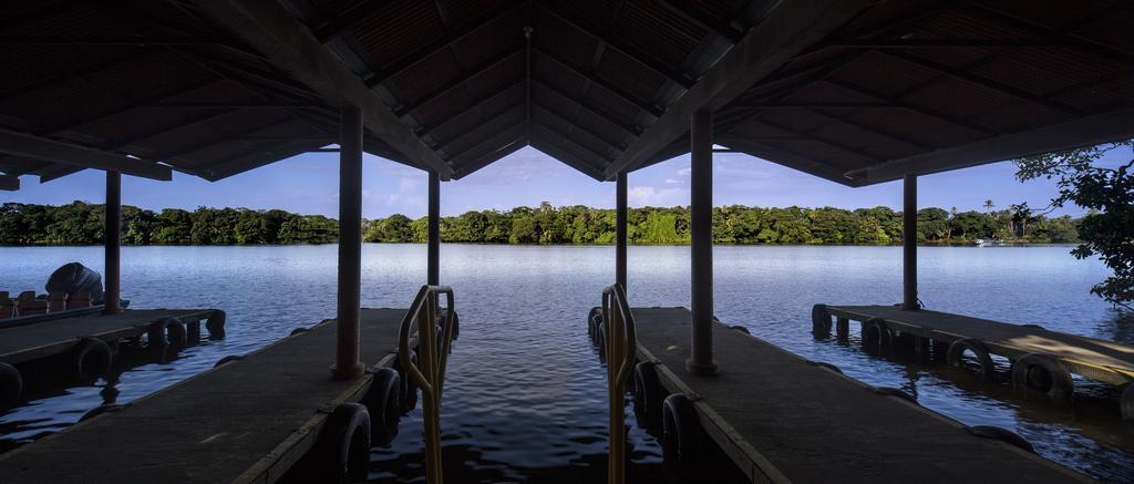 Pachira Lodge Tortuguero Ngoại thất bức ảnh