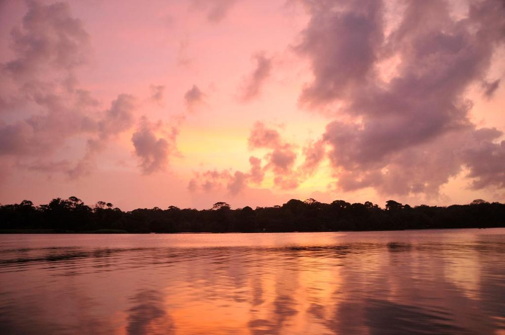 Pachira Lodge Tortuguero Ngoại thất bức ảnh