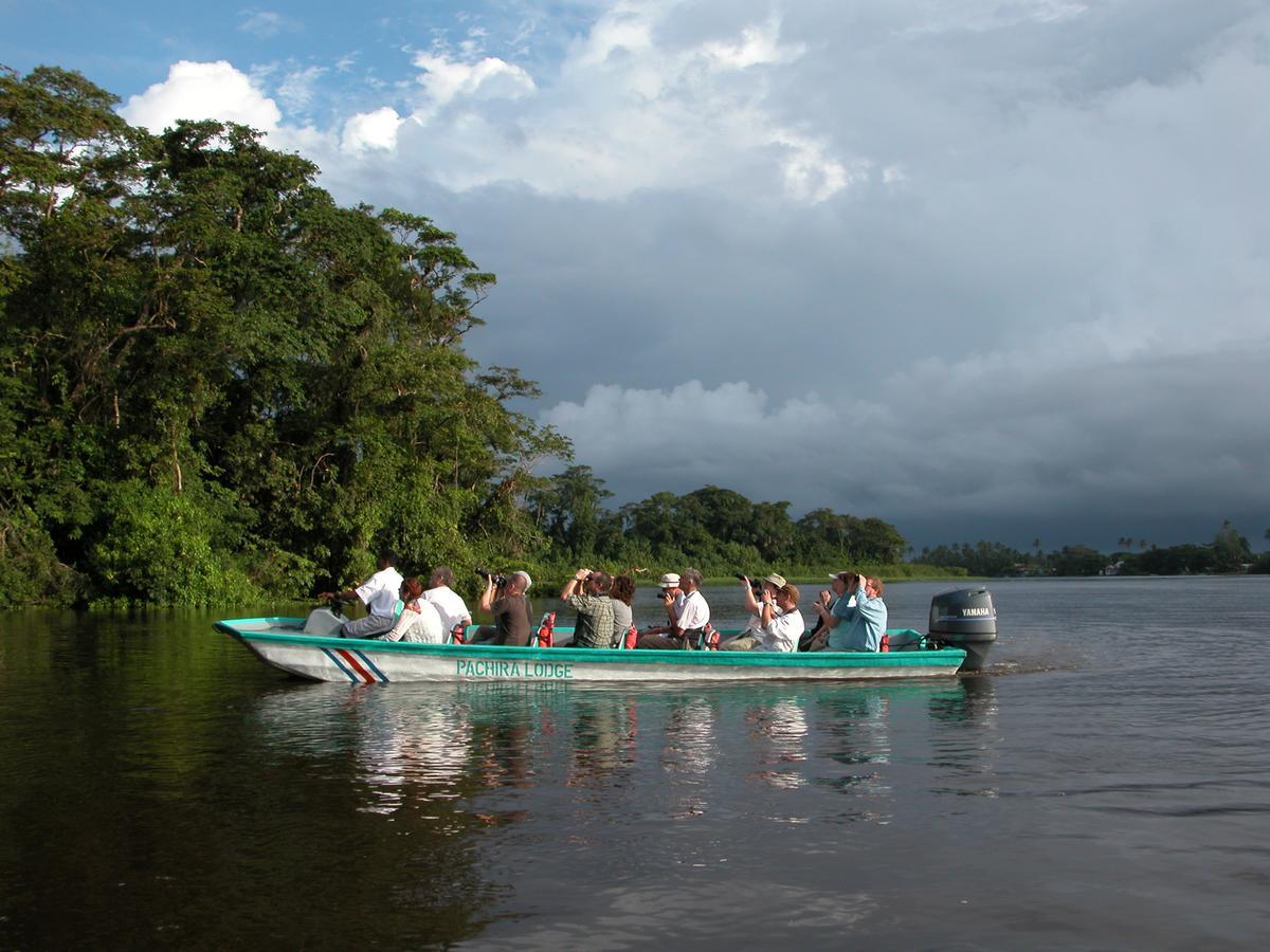 Pachira Lodge Tortuguero Ngoại thất bức ảnh